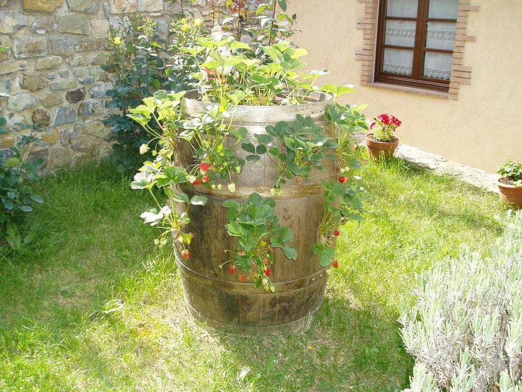 Agriturismo Podere Micitto Usi Exterior foto